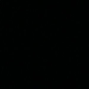 Meet your Posher, Juliana